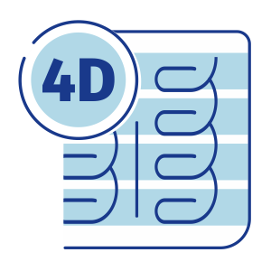Анатомическая пружинная система 4D Evolution Spring